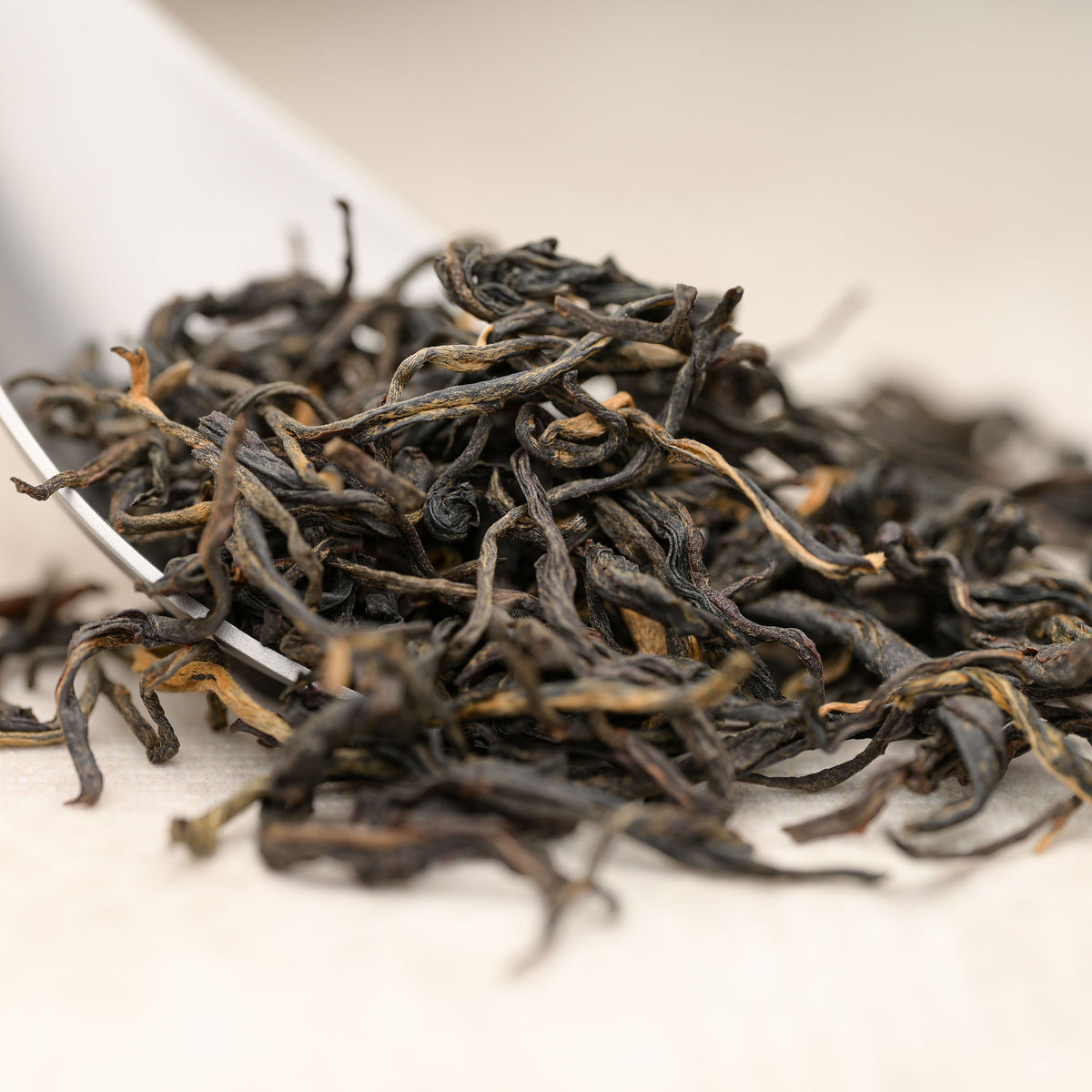 Ancient Tree Black — loose-leaf detail