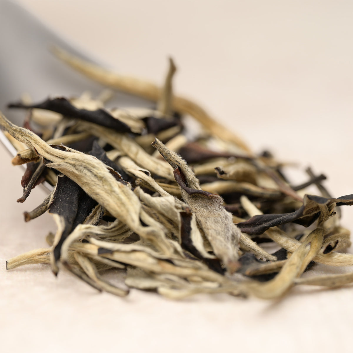 Moonlight White — loose-leaf detail