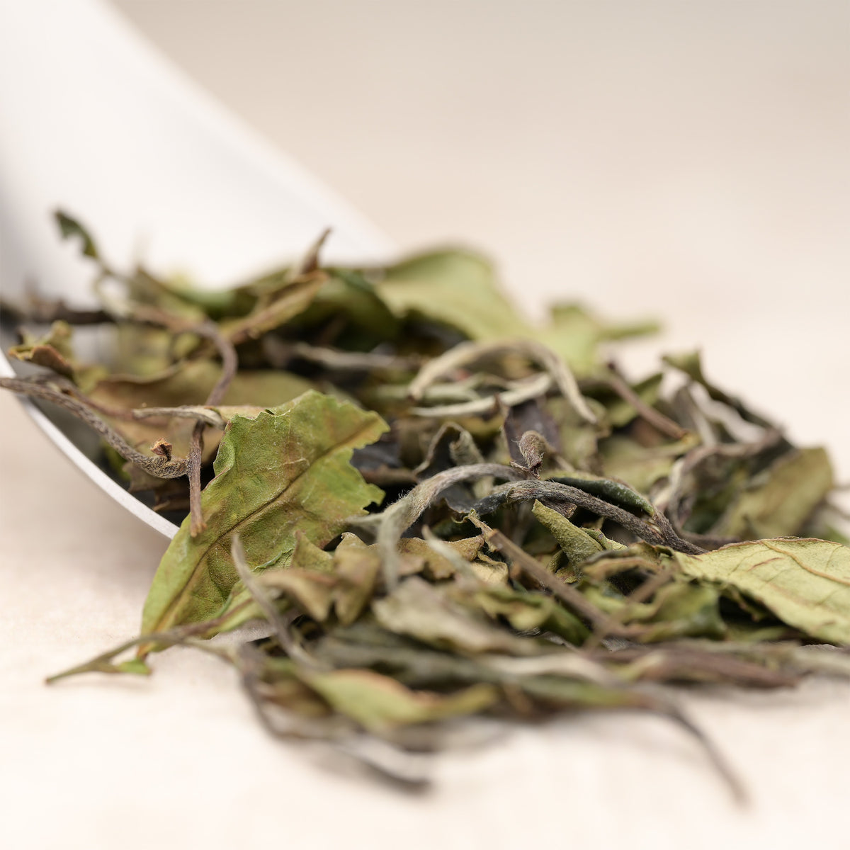 White Peony — loose-leaf detail
