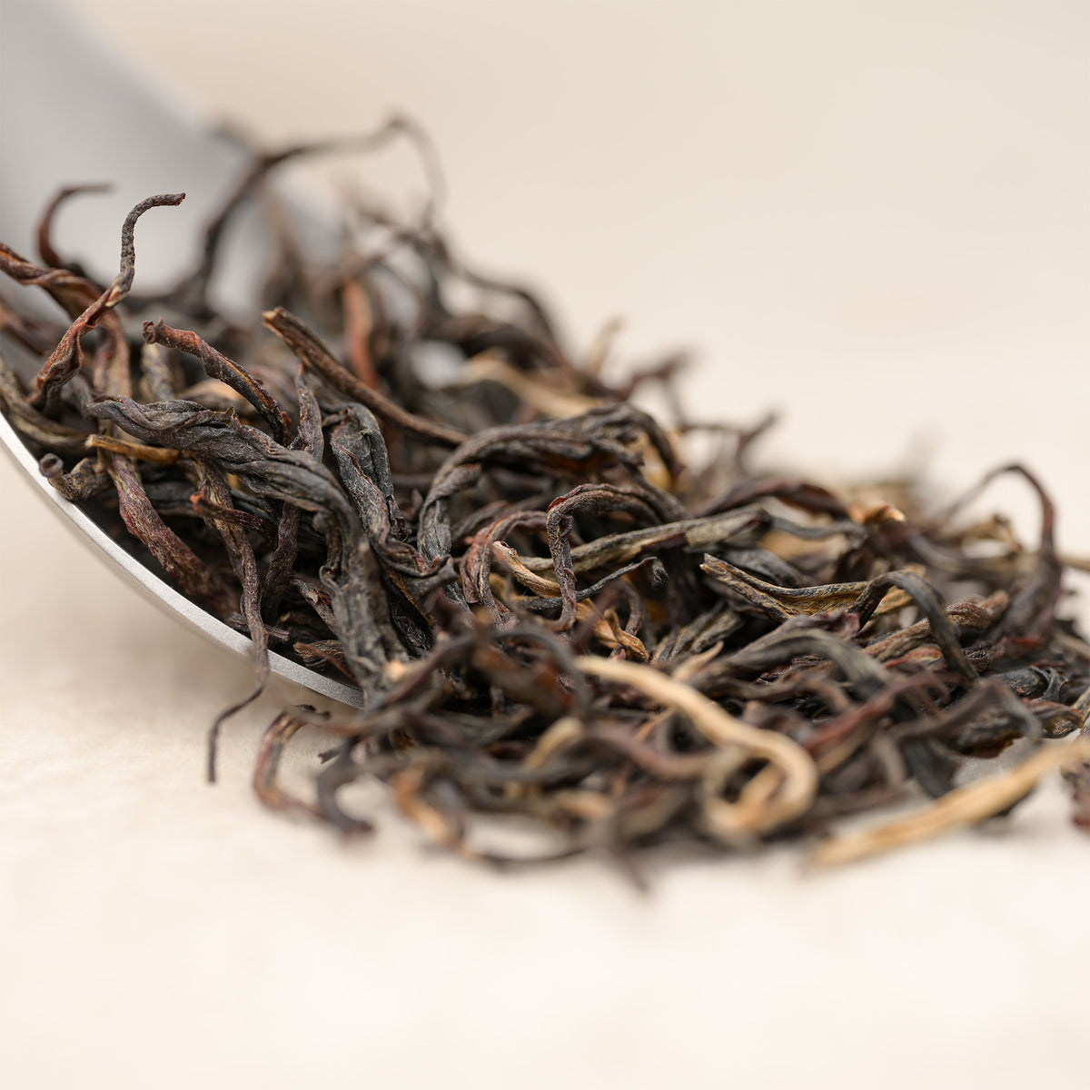 Ancient Tree Yellow — loose-leaf detail
