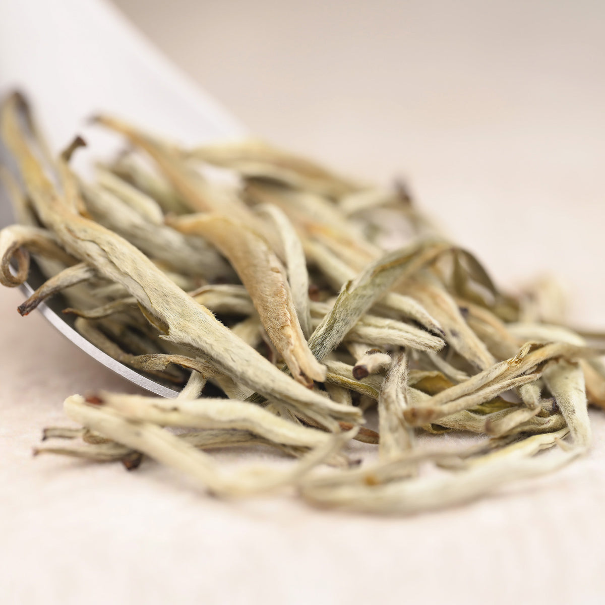 Jasmine Silver Needle — loose-leaf detail