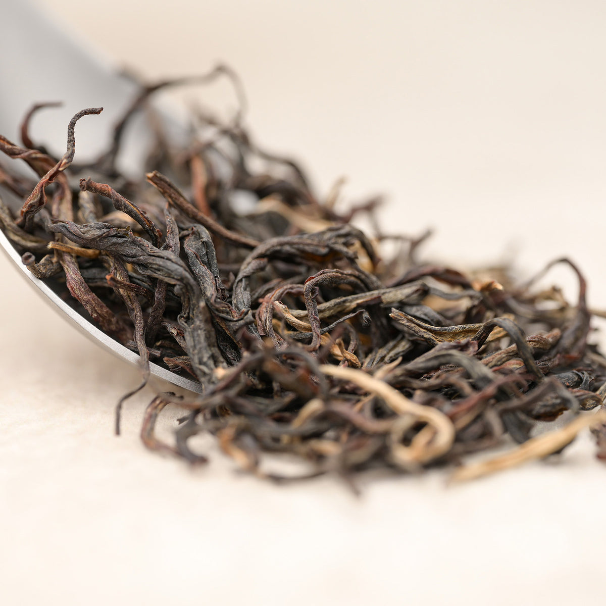 Ancient Tree Yellow — loose-leaf detail