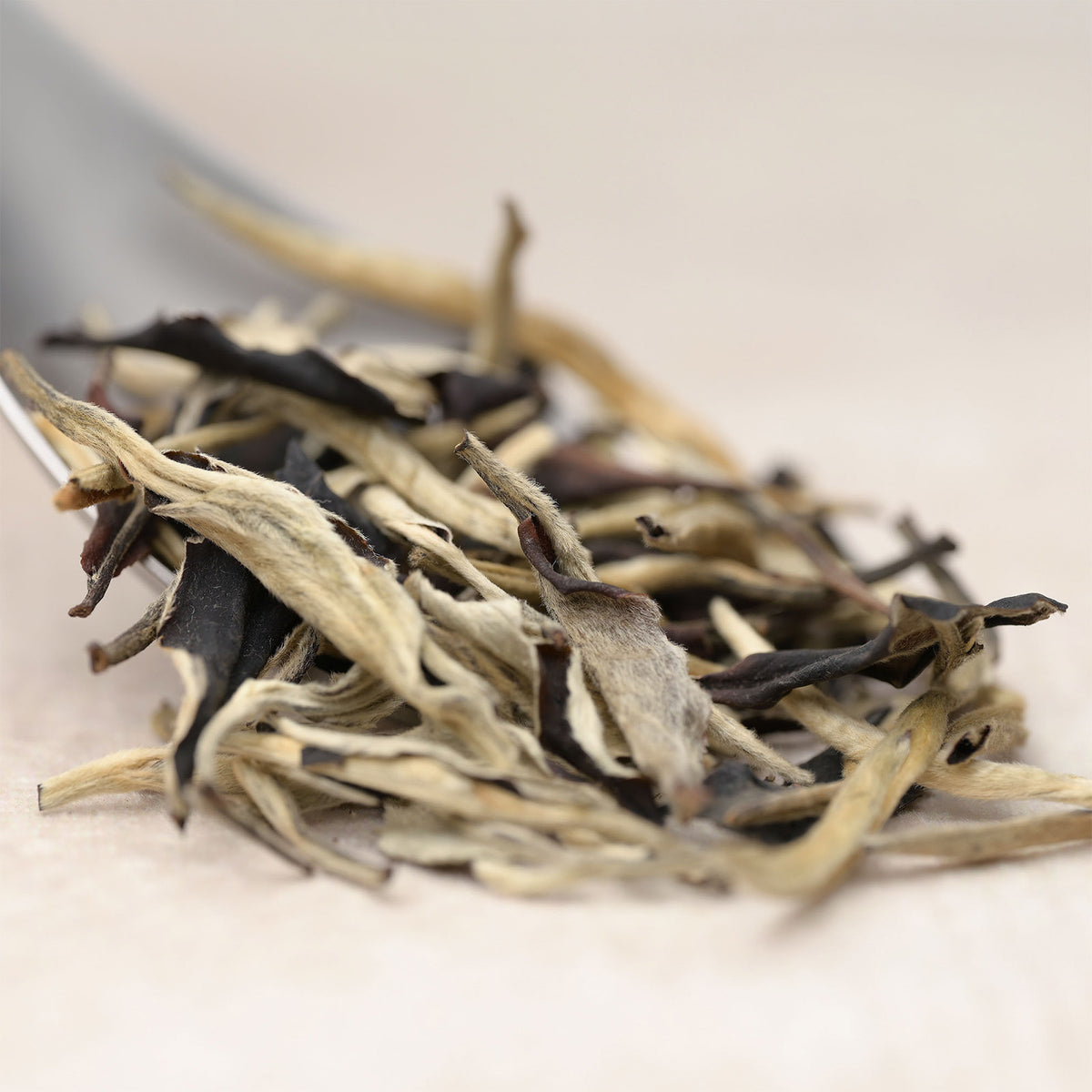 Moonlight White — loose-leaf detail