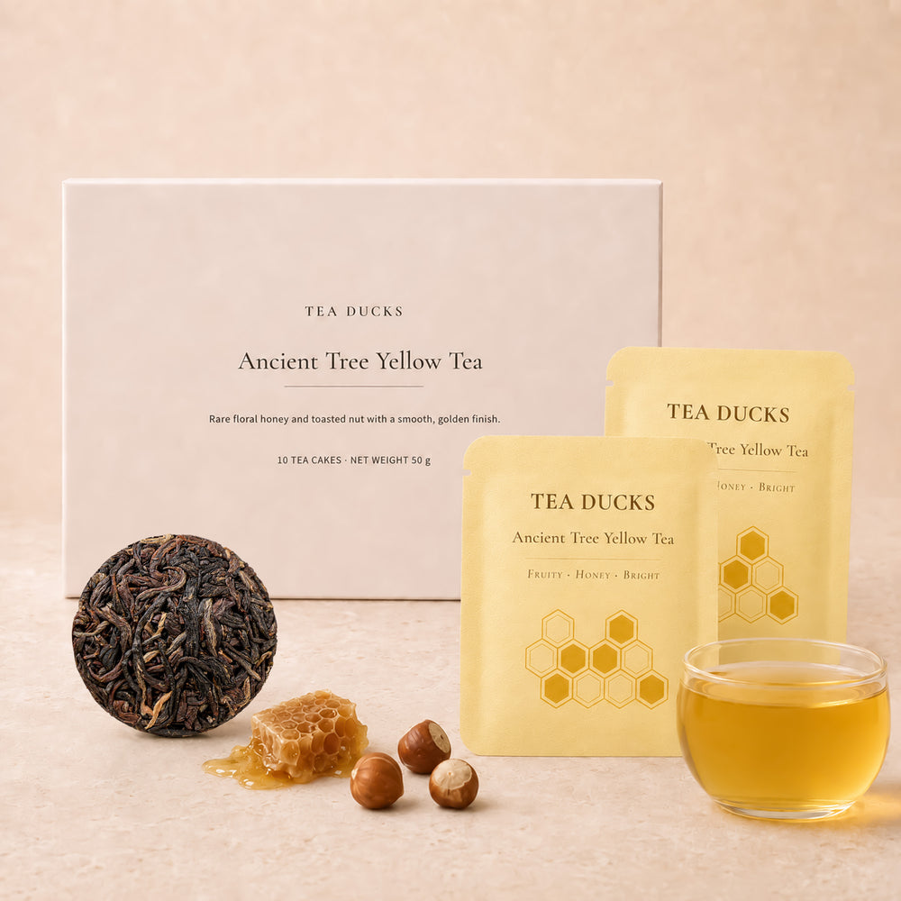 Ancient Tree Yellow Tea · 10 × 5g Rounds