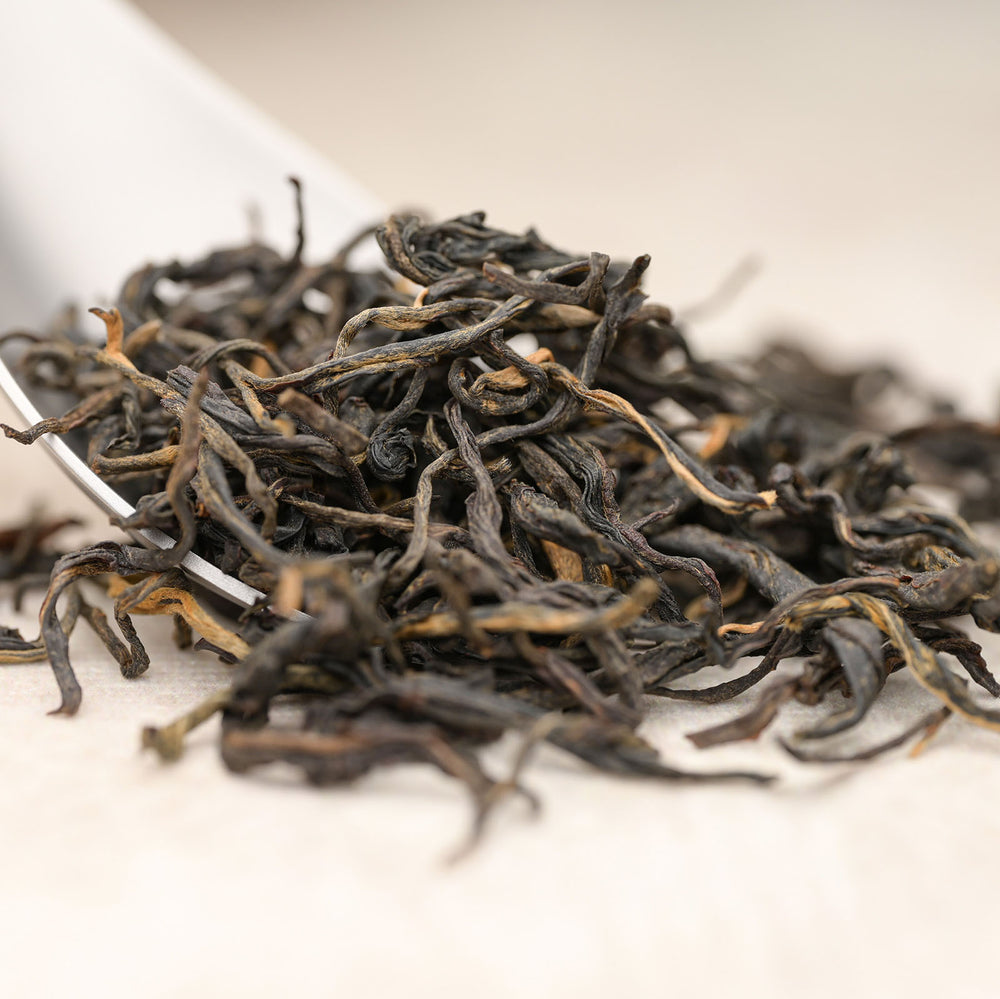 Ancient Tree Black Tea
