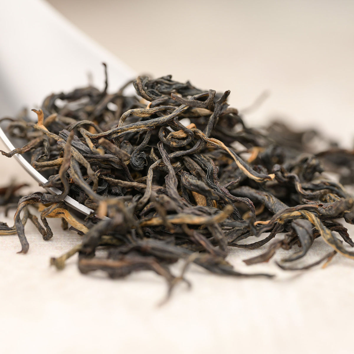 Ancient Tree Black — loose-leaf detail