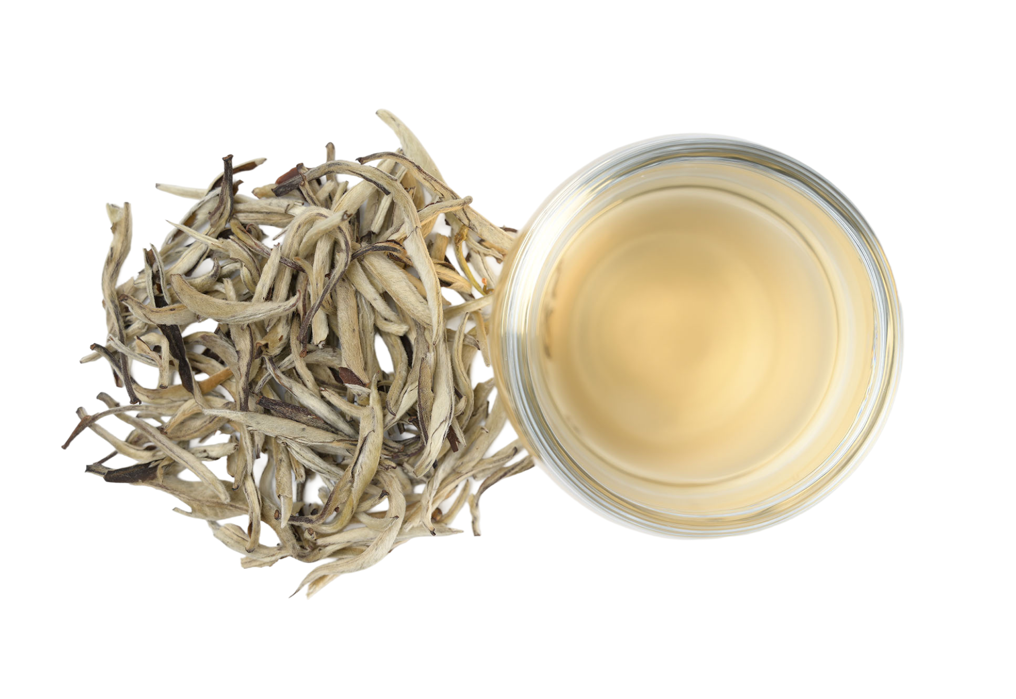 Pale gold Moonlight White tea with dry leaves