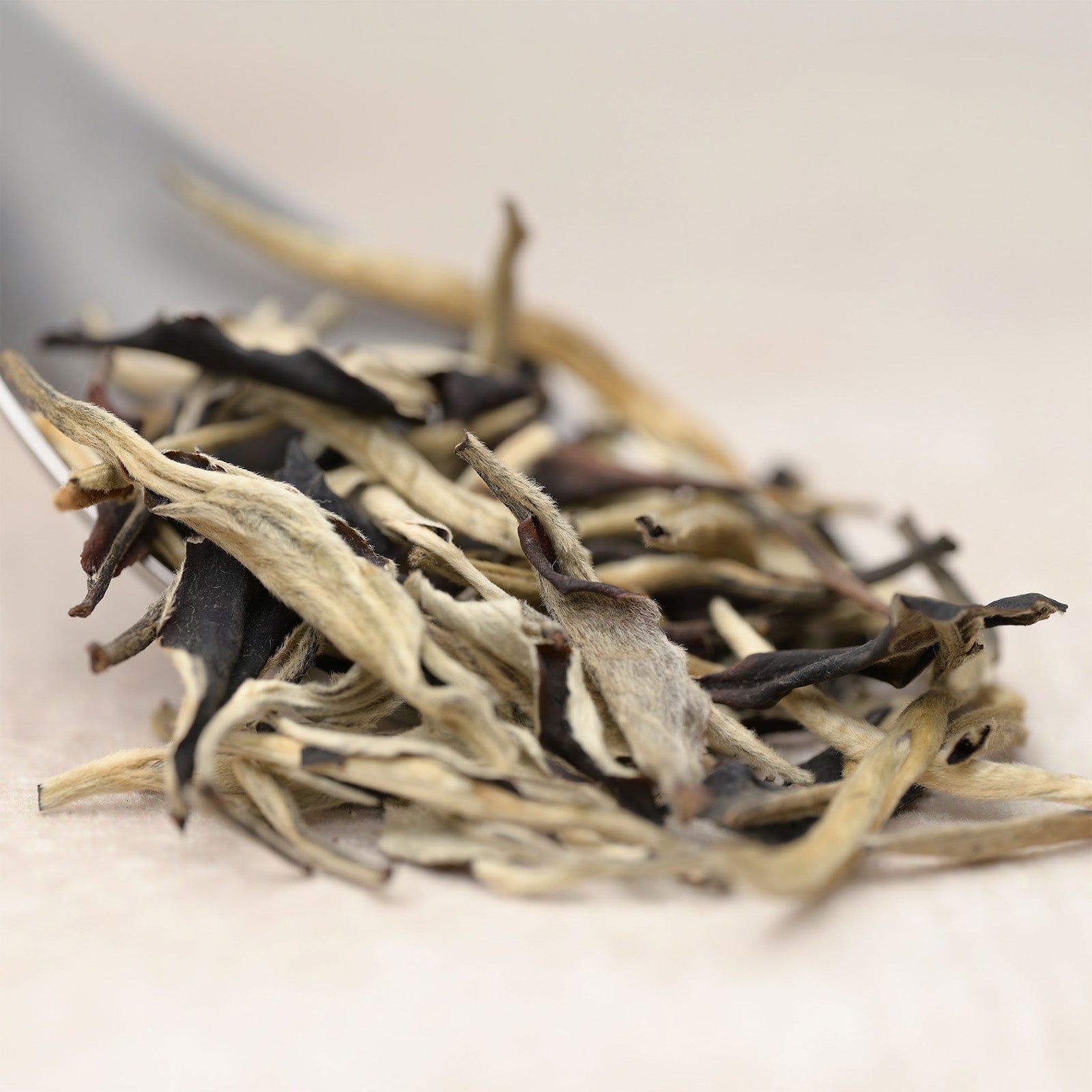 Moonlight White Tea